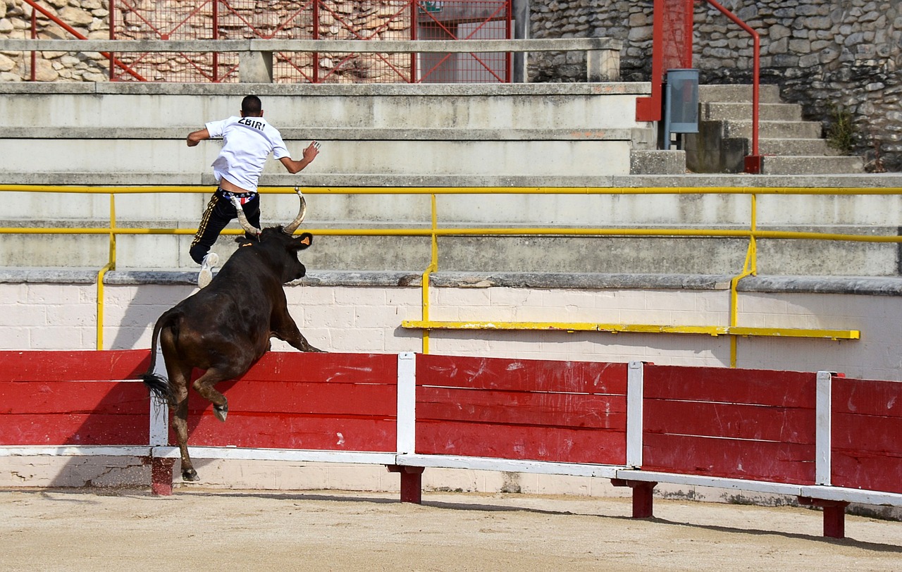 特点
