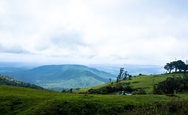 车晓曦分享 车晓曦分享