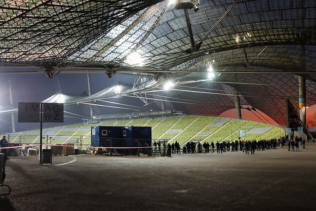 球星东契奇 球星东契奇