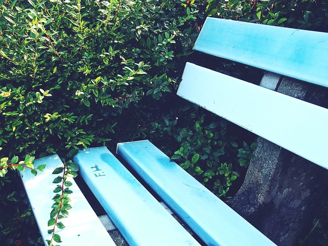 澳大利亚队 澳大利亚队