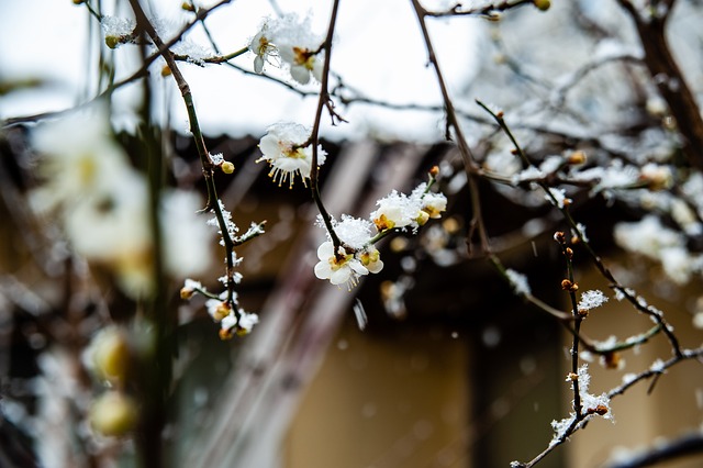 光芒 光芒