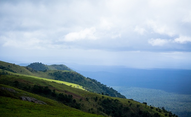 出现的各种 出现的各种