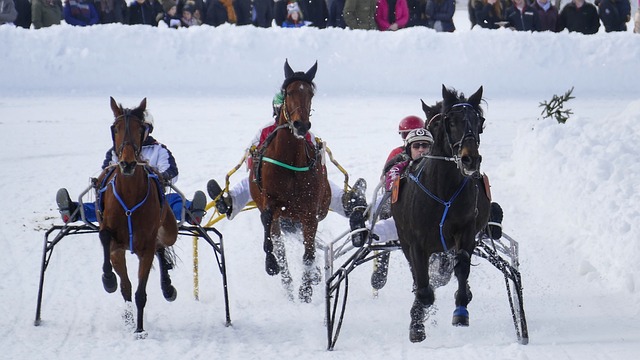 能通过报价 能通过报价