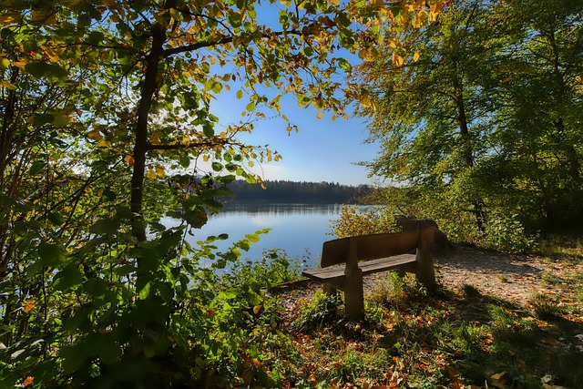 抓住漏洞 抓住漏洞