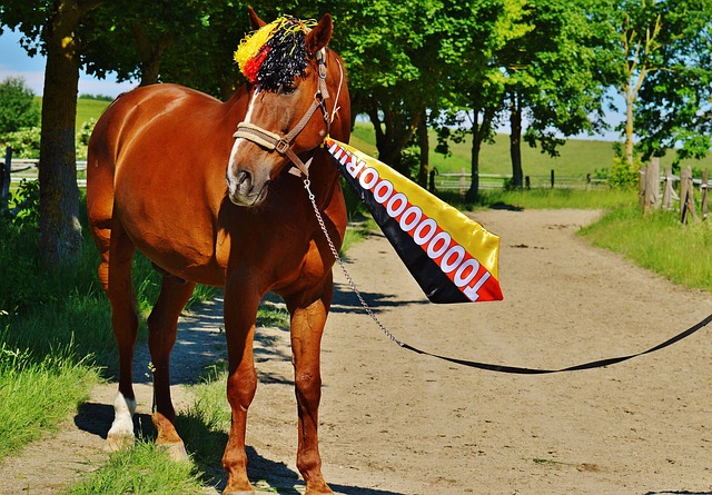 只有全方位 只有全方位