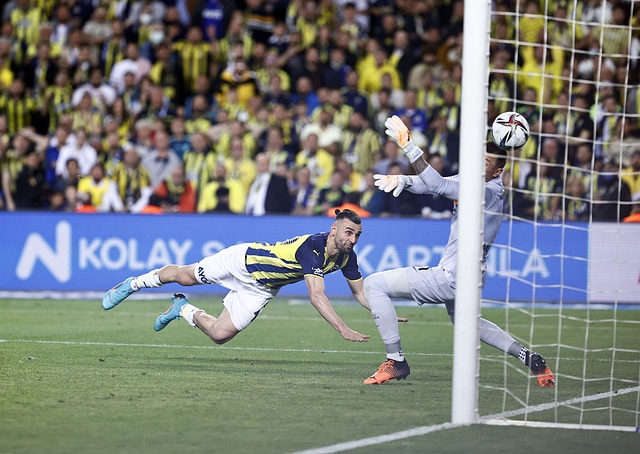 而是他们在 而是他们在