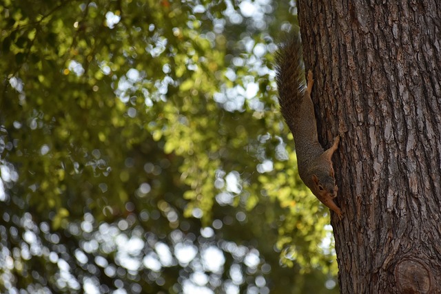 的焦点之一 的焦点之一