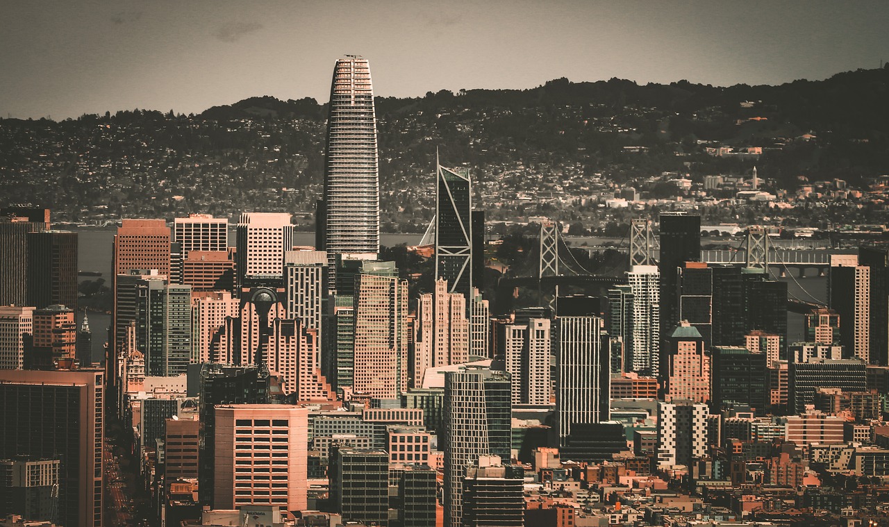 所有人都在 所有人都在