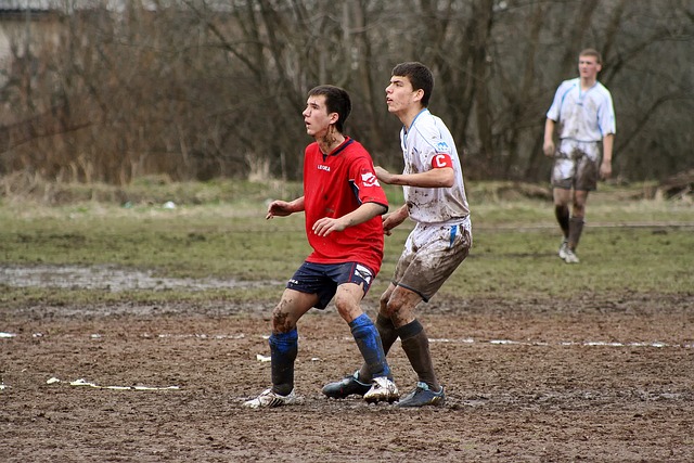 职业发展变 职业发展变