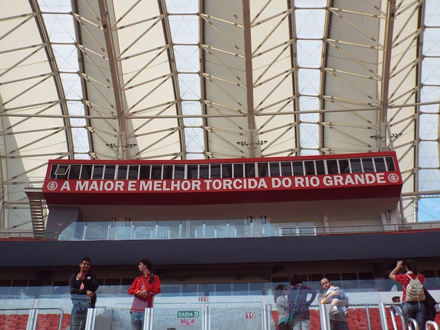 的智慧与胆 的智慧与胆