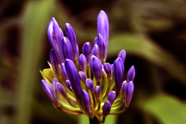 也是分担重 也是分担重