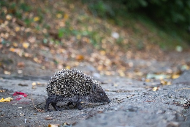 以及对自我 以及对自我